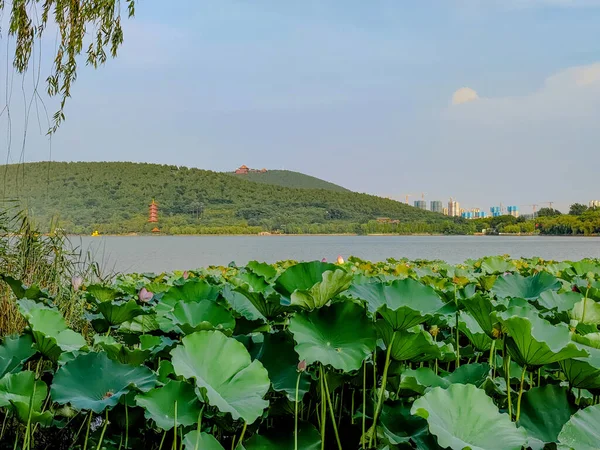 Ville Xuzhou Province Jiangsu Lac Yunlong Région Panoramique Lac Sud — Photo