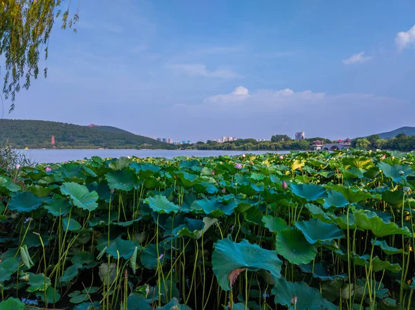 Xuzhou City Jiangsu Provincie Yunlong Lake South Lake Scenic Area — Stockfoto