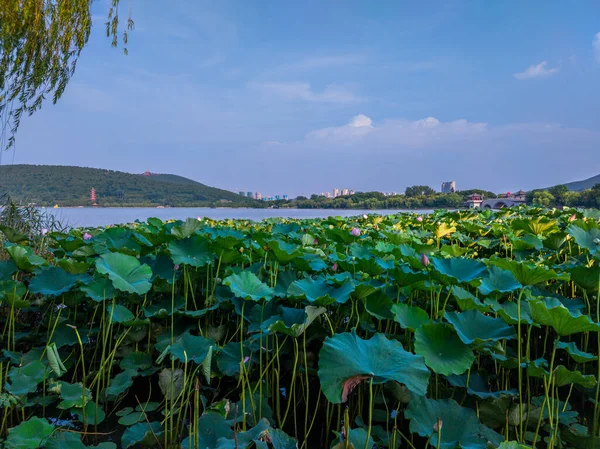 Xuzhou City Provincia Jiangsu Yunlong Lake South Lake Scenic Area — Foto Stock