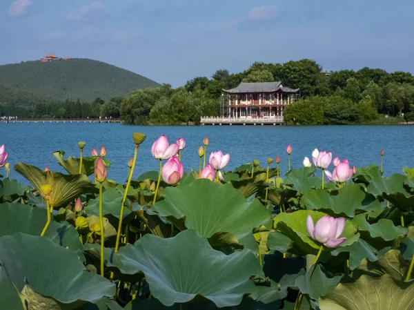 Ville Xuzhou Province Jiangsu Lac Yunlong Région Panoramique Lac Sud — Photo