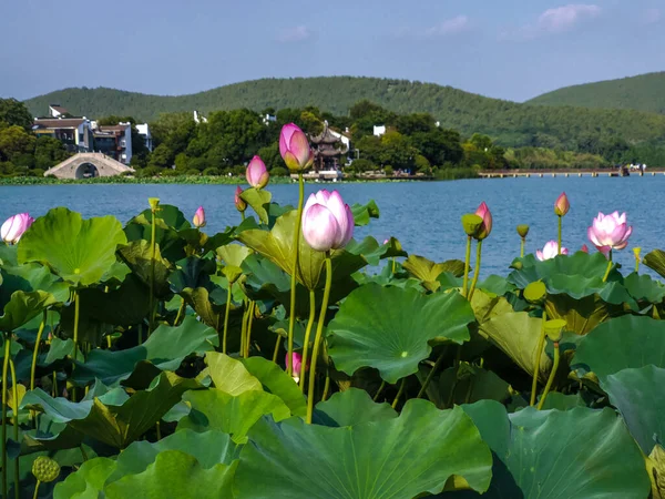Ciudad Xuzhou Provincia Jiangsu Lago Yunlong Área Escénica Del Lago —  Fotos de Stock