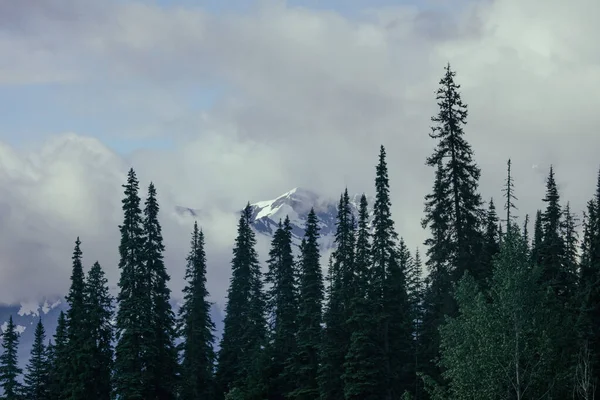 Banff Ulusal Parkı, Kanada 'nın ilk ulusal parkı, 1885 yılında kuruldu ve Kuzey Amerika kıtasının en yüksek dağları arasında yer alan bir dizi buzullar, buzullar, buz tabakaları, buzullar ve alp otlakları yer alıyor..