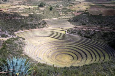 Antik İnkalar tarafından tahılları test etmek için kullanılan dairesel bir yalak.