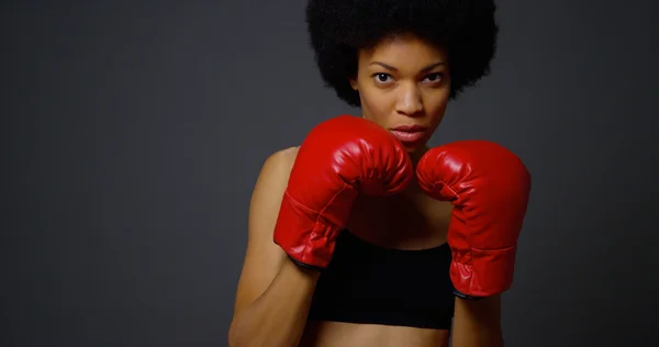 6,100+ Black Woman Boxing Stock Photos, Pictures & Royalty-Free