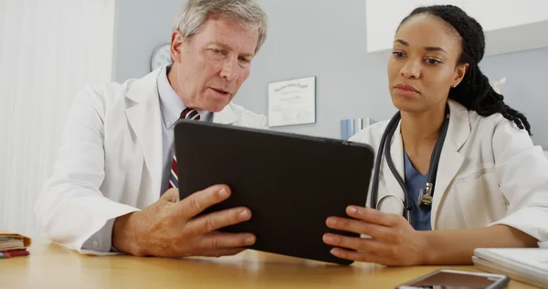 Hardworking doctors reviewing patient's file — Stock Photo, Image