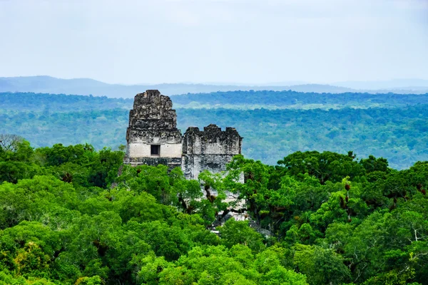 Forest and ruins of Tikal — Stock Photo, Image