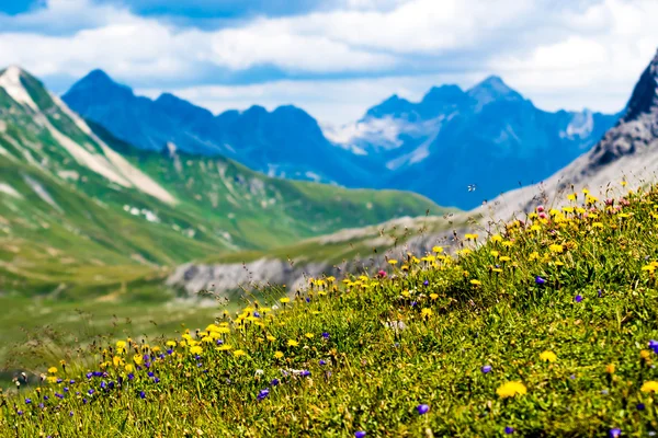 Alpes en la región de Lech, Austria —  Fotos de Stock