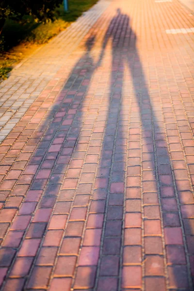 Shadow on path of a father and child. They holding hands Stock Photo