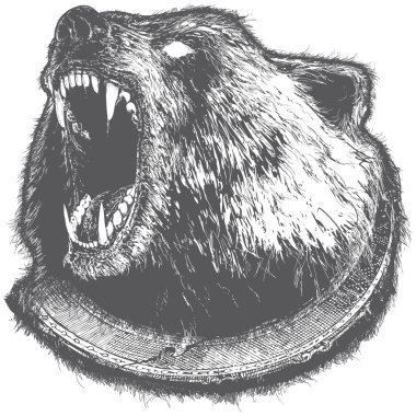 Growling Bear Vector Illustration