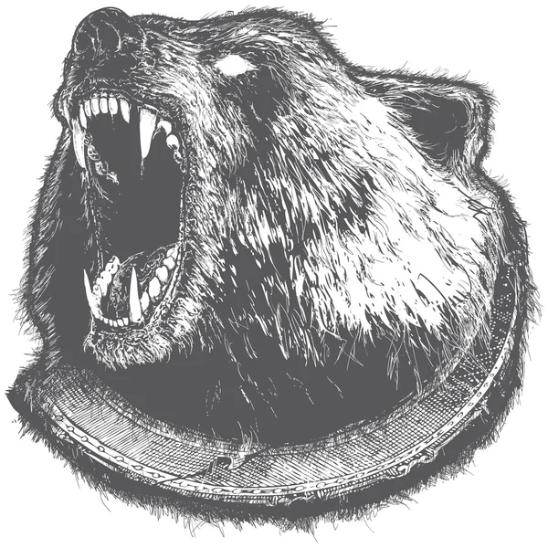 Grommende Bear vectorillustratie — Stockvector