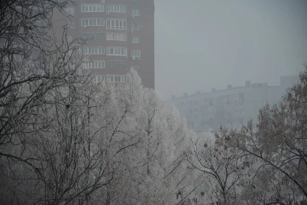 Soğuk Kışın Sisli Şehri Evde Olmanı Istiyor — Stok fotoğraf