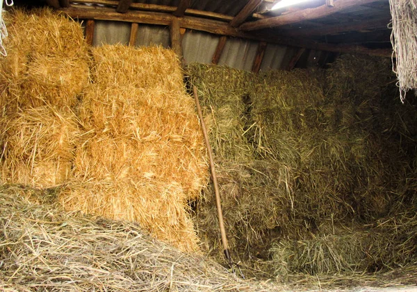 Stacks Dry Straw Piled Straw Haystacks — Stock Photo, Image