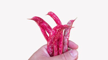 Kırmızı fasulye tutan bir erkeğin yakın çekimi.