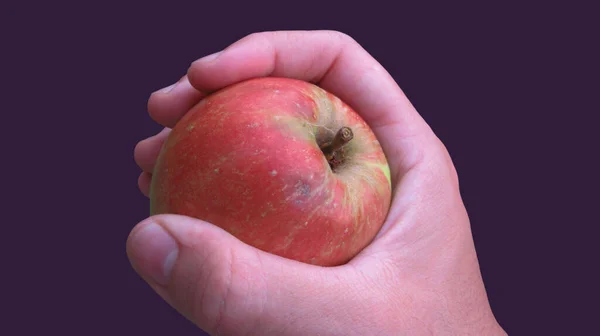 Eine Nahaufnahme Einer Männlichen Hand Die Einen Roten Apfel Hält — Stockfoto