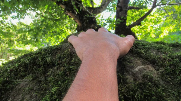 Giovane Maschio Mano Dell Uomo Toccando Pietra Roccia Del Fiume — Foto Stock