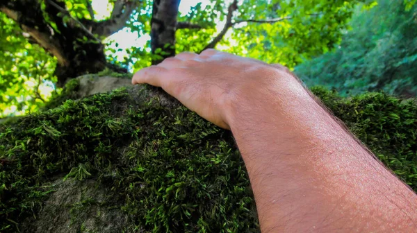 Jovem Macho Homem Mão Tocando Rio Pedra Rocha Coberto Com — Fotografia de Stock