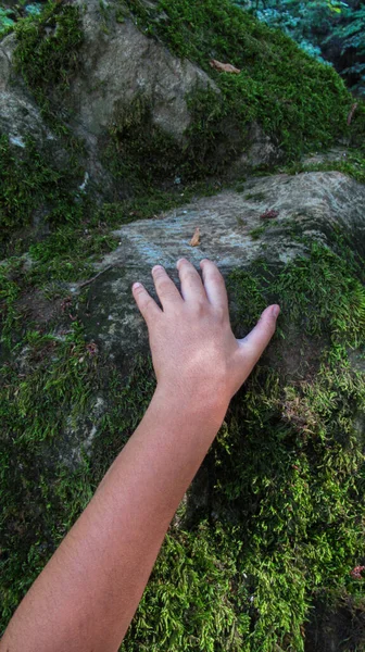 Mladé Dítě Ruka Dotýká River Rock Kámen Pokrytý Zeleným Rostlinným — Stock fotografie