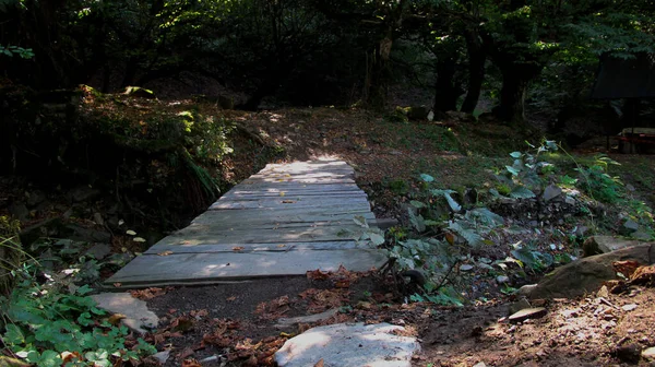 Ormandaki Bir Nehirde Küçük Tahta Bir Köprü — Stok fotoğraf