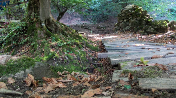 Puente Madera Sobre Río Parque Nacional — Foto de Stock