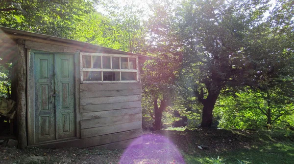 Egy Kis Faház Egy Kaukázusi Erdő Közepén — Stock Fotó