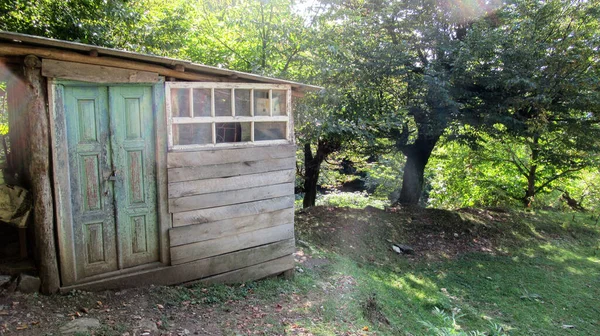 Una Piccola Casa Legno Nel Mezzo Una Foresta Caucasica — Foto Stock