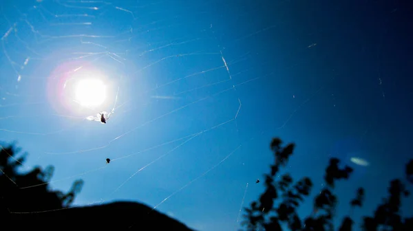 Primo Piano Una Rete Ragno Sullo Sfondo Cielo Azzurro Con — Foto Stock