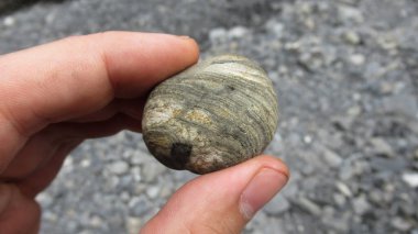 Elinde doğal bir nehir taşını tutan genç bir erkek elin yakınına.