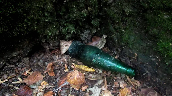 地面に寝そべっている森の中の一本の緑のガラス瓶 — ストック写真