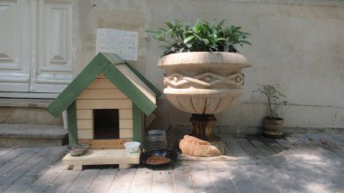 Bakü, Azerbaycan, 5 Temmuz 2020: Ana caddede kedi evi