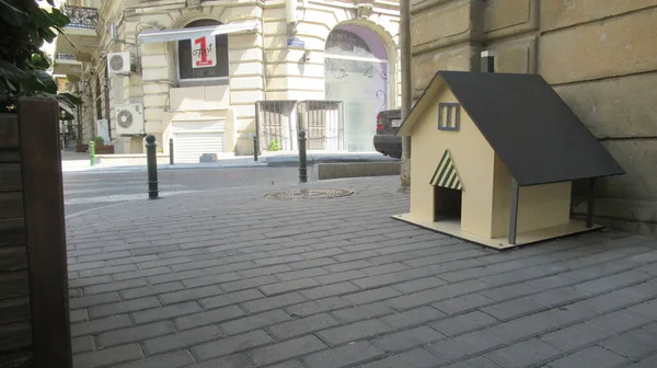 Baku Azerbaijan July 2020 Cat House Main Street — Stock Photo, Image