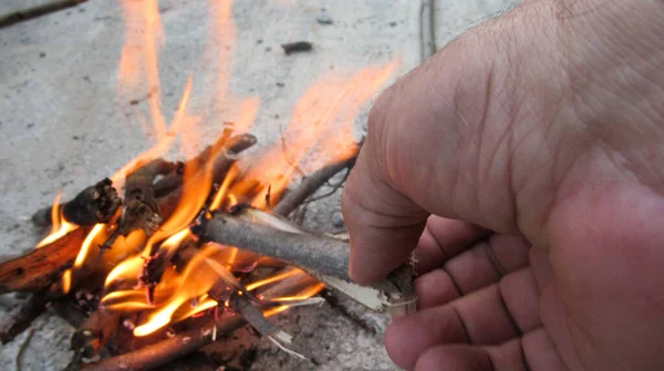 男性の手を火に小さな木を置く — ストック写真