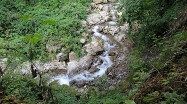 Vahşi ormandaki bir nehrin üst manzarası. Güzel dağ nehri olan milli park.