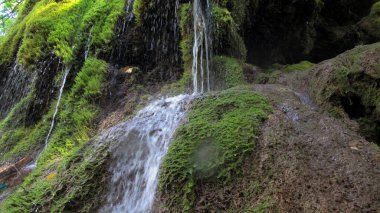 Yosun kaplı güzel, yeşil bir şelale. Azerbaycan, Gakh 'da ünlü bir şelale.
