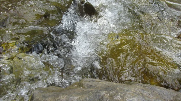 Крупним Планом Кам Яні Камені Біло Зелена Бульбашкова Вода Лісової — стокове фото