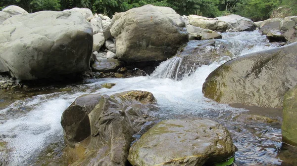 Feche Umas Pedras Rocha Água Borbulhante Verde Branca Rio Florestal — Fotografia de Stock