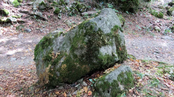 Primer Plano Musgo Vegetal Cubierto Piedra Roca Natural Del Río — Foto de Stock