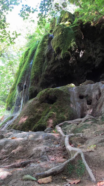 苔で覆われた美しい緑の有名な滝 ガーハのアゼルバイジャンに位置する有名な滝 — ストック写真