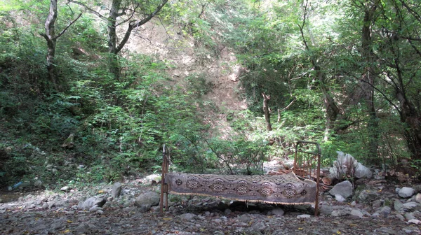 Metal Bed Middle Forest Human Nature Relaxing Forest Campsite — Stock Photo, Image