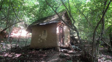 Ormanın ortasında topraktan yapılmış güzel, tatlı bir ev.