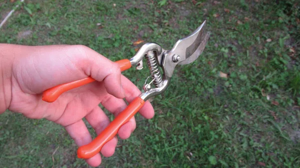Close Male Hand Holding Pruning Shear Scissor Used Cutting Branches — Stock Photo, Image