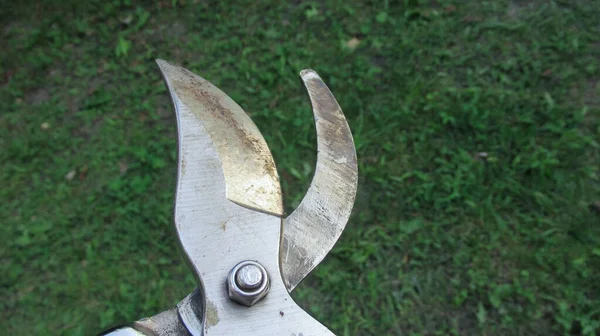 Detailní Záběr Nůžek Prořezávání Větví Nůžky — Stock fotografie