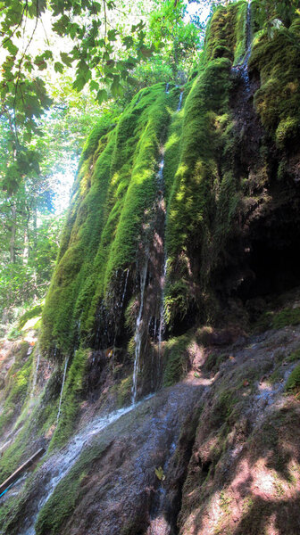 Beautiful waterfall in the forest covered with green moss. Caucasian mountain forest waterfall.