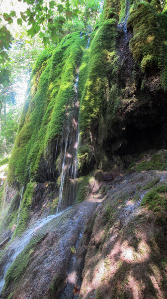 Beautiful waterfall in the forest covered with green moss. Caucasian mountain forest waterfall.
