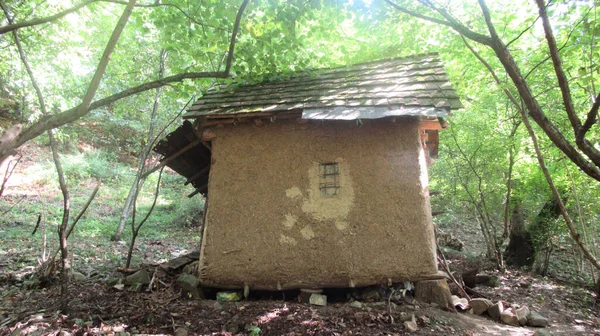 Ein Schönes Süßes Haus Aus Lehm Mitten Wald — Stockfoto