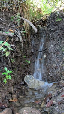 Toprağa ve taşlara akan bir nehir kanalı suyuna yakın.