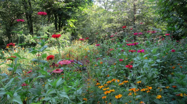 Black-red metal bed laying on the green grass and surrounded with colorful flowers. Summer time beautiful campsite with bed.