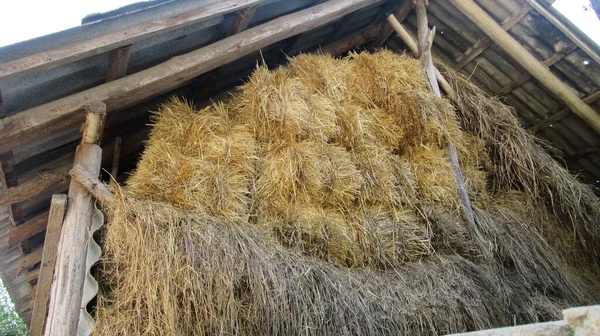 Oude Houten Schuur Met Hooibergen Het Landelijke Dorp — Stockfoto