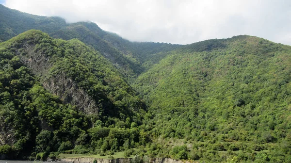 Prachtig Uitzicht Een Groot Groen Kaukasisch Bergwoud Blauwe Heldere Lucht — Stockfoto