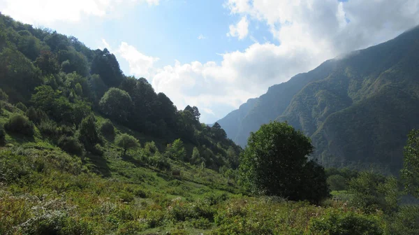 Bella Vista Grande Verde Foreste Montane Caucasiche Blu Cielo Luminoso — Foto Stock