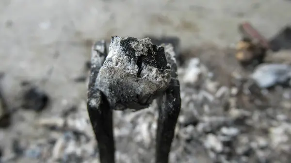 Sostiene Carbón Vegetal Madera Dura Con Pinzas Barbacoa Metal — Foto de Stock